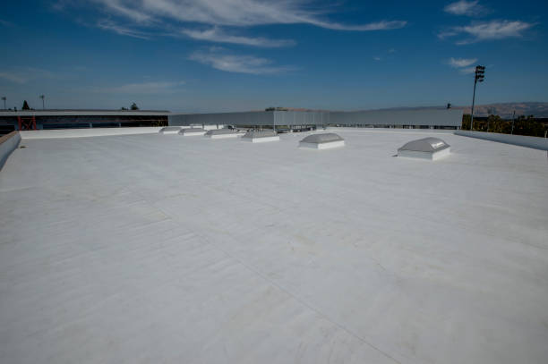 Best 4 Ply Roofing  in Muse, PA