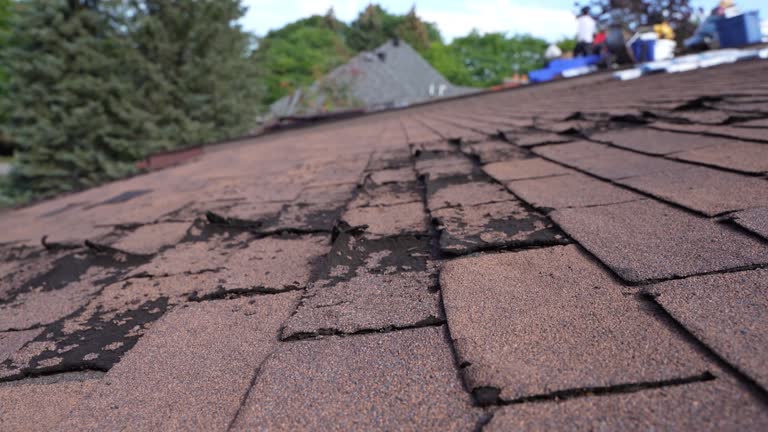 Best Gutter Installation and Repair  in Muse, PA