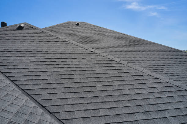 Best Steel Roofing  in Muse, PA