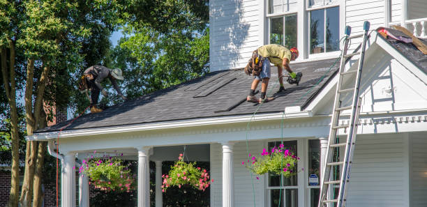 Best Green or Eco-Friendly Roofing Solutions  in Muse, PA